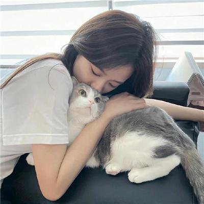 凯旋在子夜